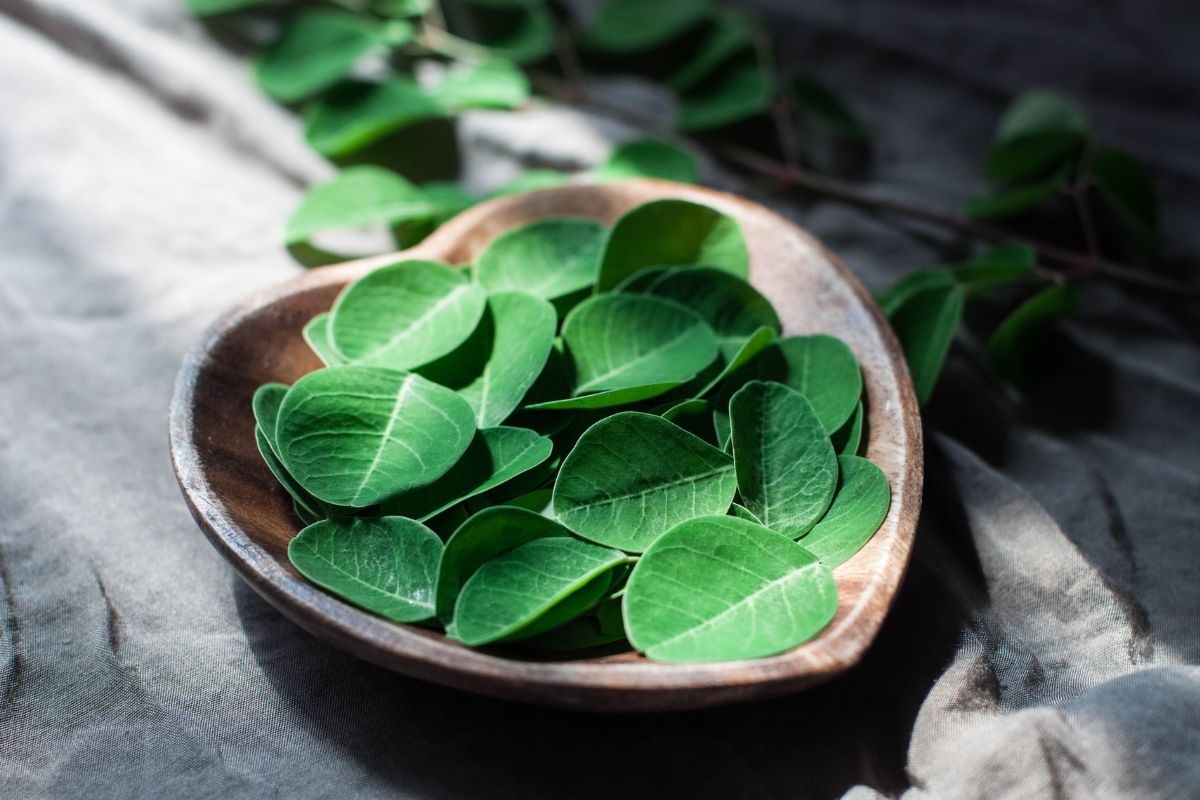 Planta poderosa que ayuda a limpiar el hígado y regular los intestinos.
