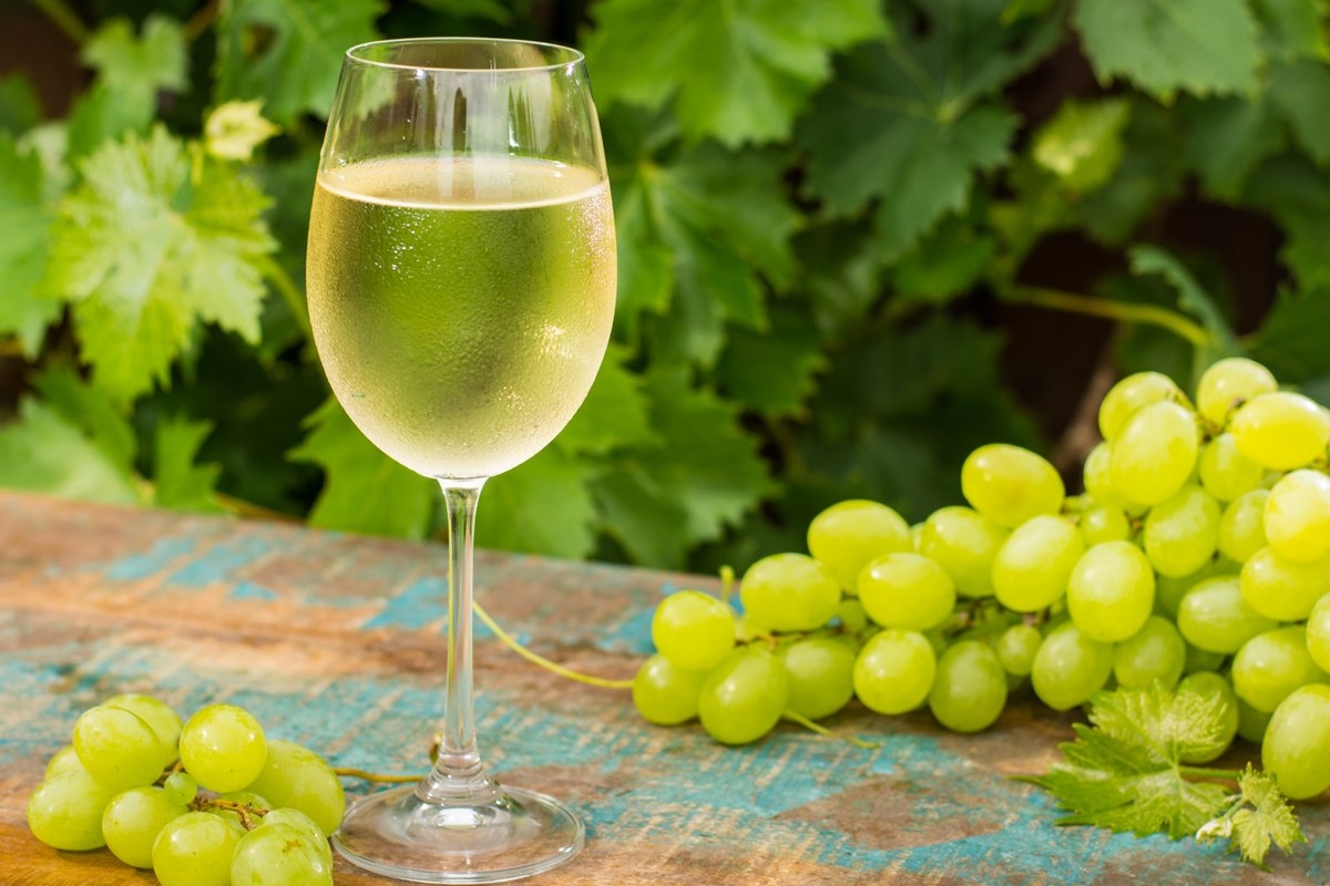 Il vino fa bene o male? Scopri cosa dice la scienza su questa bevanda popolare.