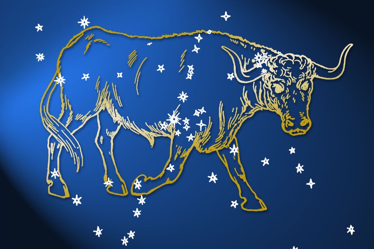 Veja o que nunca fazer se quiser conquistar nativos do signo de Touro