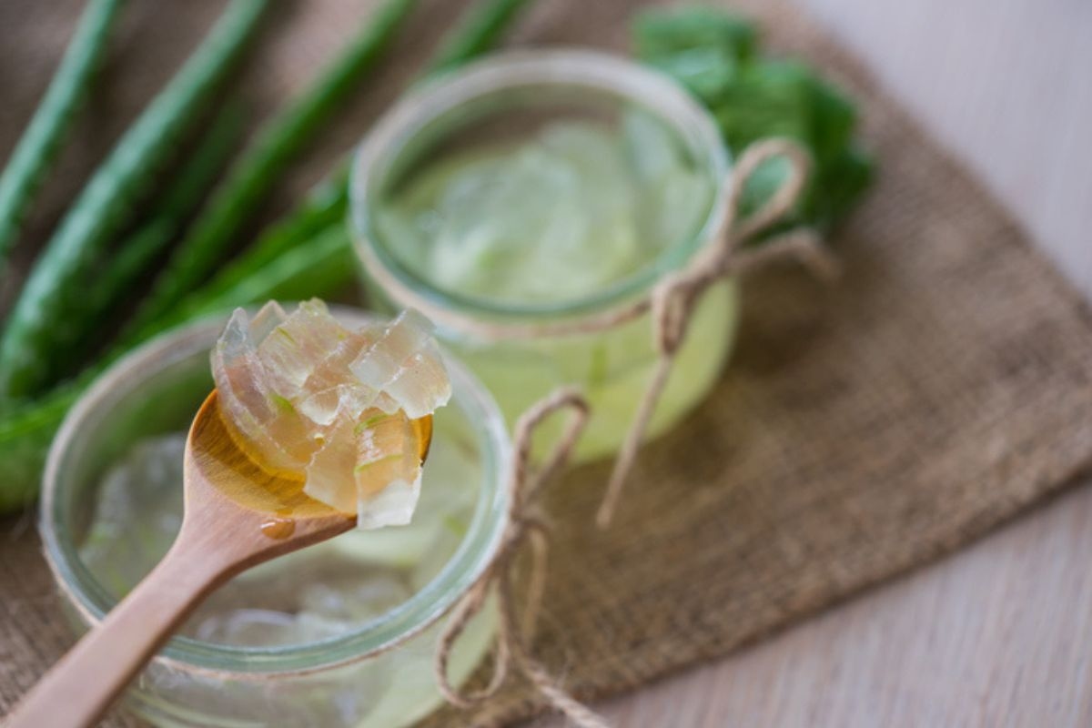 From skin to immunity: five major health benefits of aloe vera
