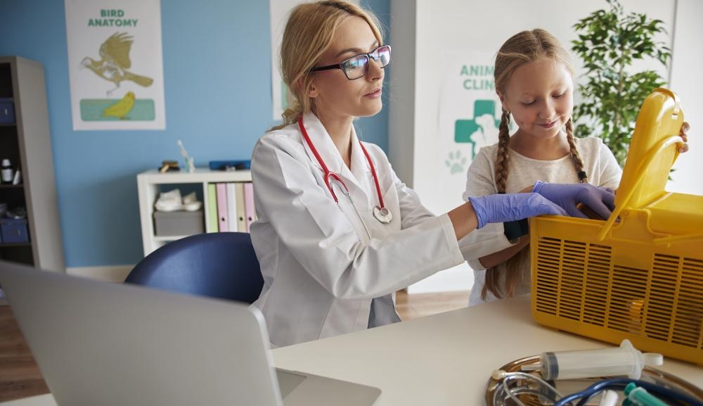 De gezondheidsdienst van Moskou heeft de norm voor voorbereidend beroepsonderwijs 'Medische les op scholen in Moskou' bijgewerkt.