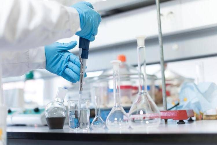 Bologna Hematology ist mit 240 mit Car-T behandelten Patienten führend in Italien