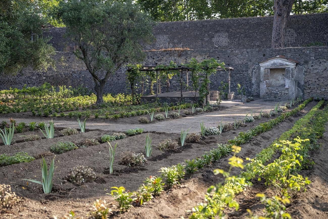Pompei'de Herkül Bahçesi yeniden canlanıyor