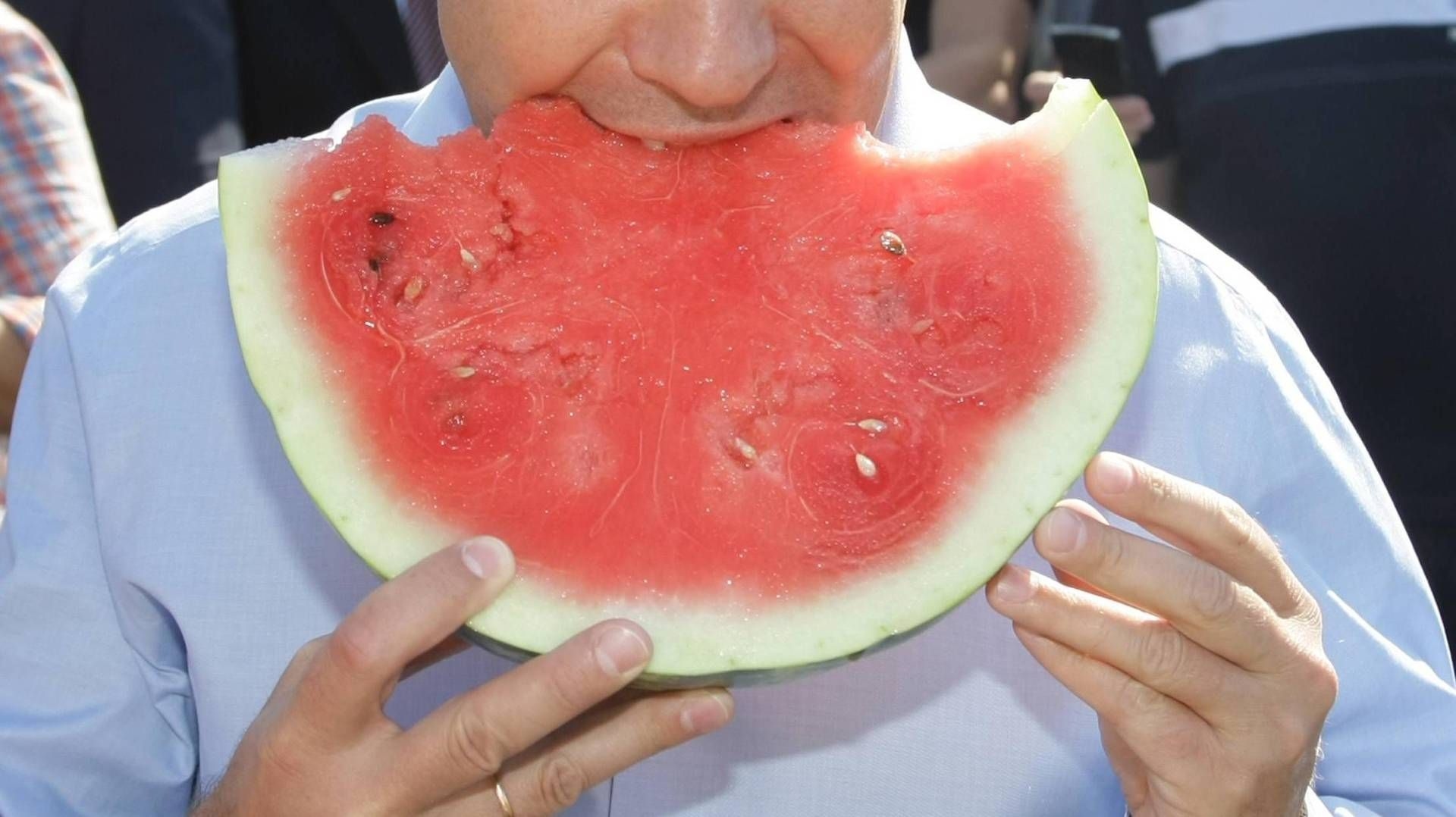 Nutritionist: "against the heat, watermelon and summer fruits to naturally integrate mineral salts"