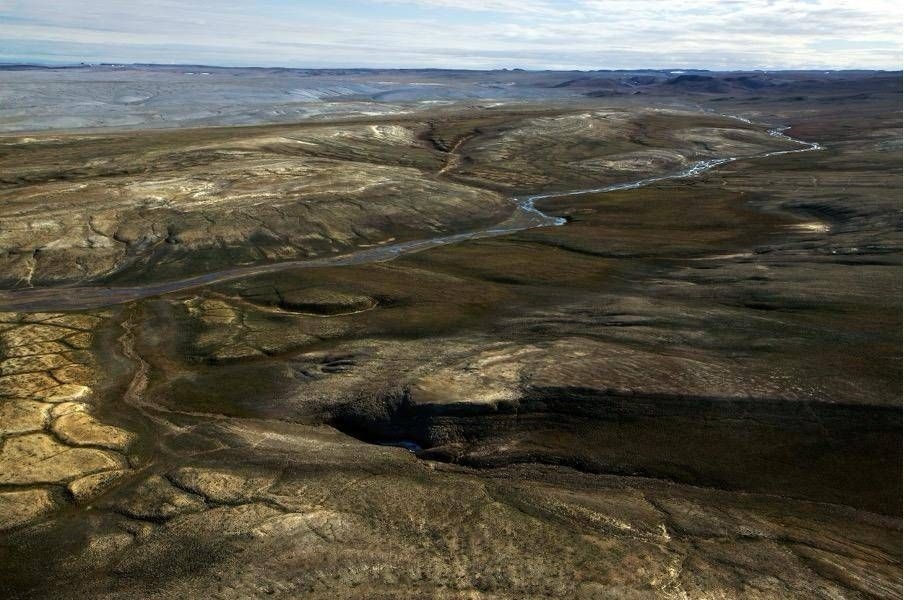 Forschung an 20 Millionen Jahre alten Proteinen führt zu evolutionären Studien