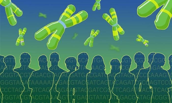 Auf dem Weg zum menschlichen Pangenom steht die umfassendste Karte der Gene und Varianten bereit.