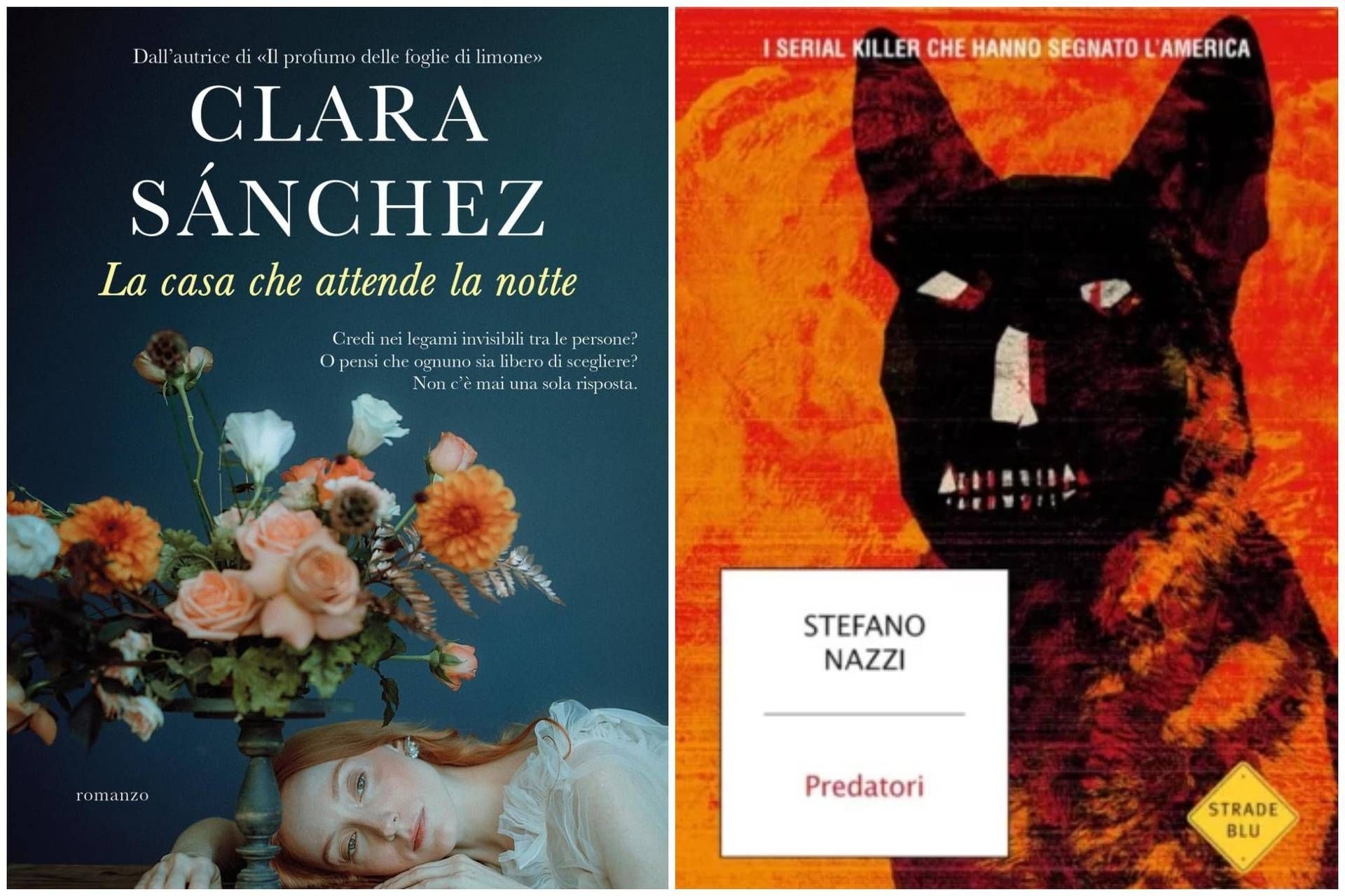 O retorno de Clara Sanchez e as mentes dos assassinos em série nazistas: novos lançamentos