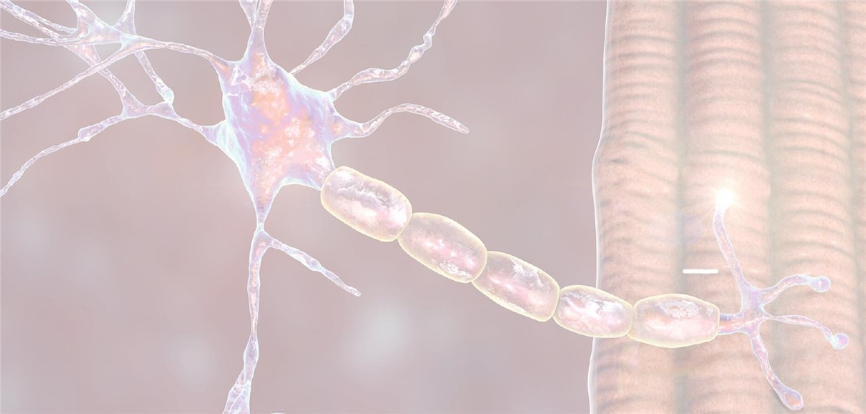 Dados do mundo real confirmaram o uso do ravulizumabe na prática clínica