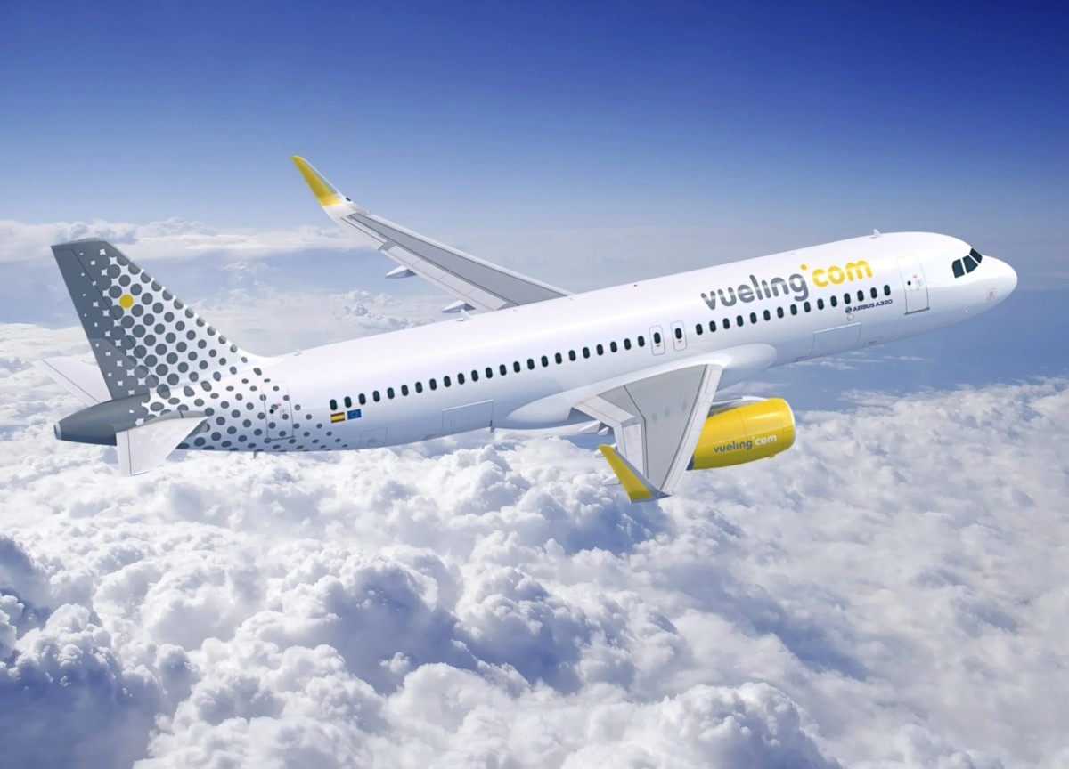 Volar en avión nunca volverá a ser lo mismo: desde los líquidos hasta las mascotas en la cabina. Pero las reglas no son las mismas para todos.