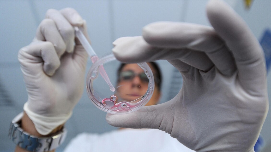 Leucemia mieloide, la enfermedad que azotó a Polonara