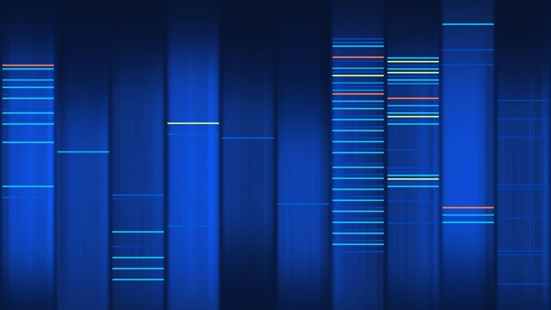 Lungenkrebs, eine Mutation, die mit der Reaktion auf eine Immuntherapie zusammenhängt