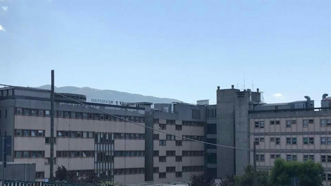 Batı Nil virüsü: Isernia eyaletinde iki vaka, hastalar hastaneye kaldırıldı