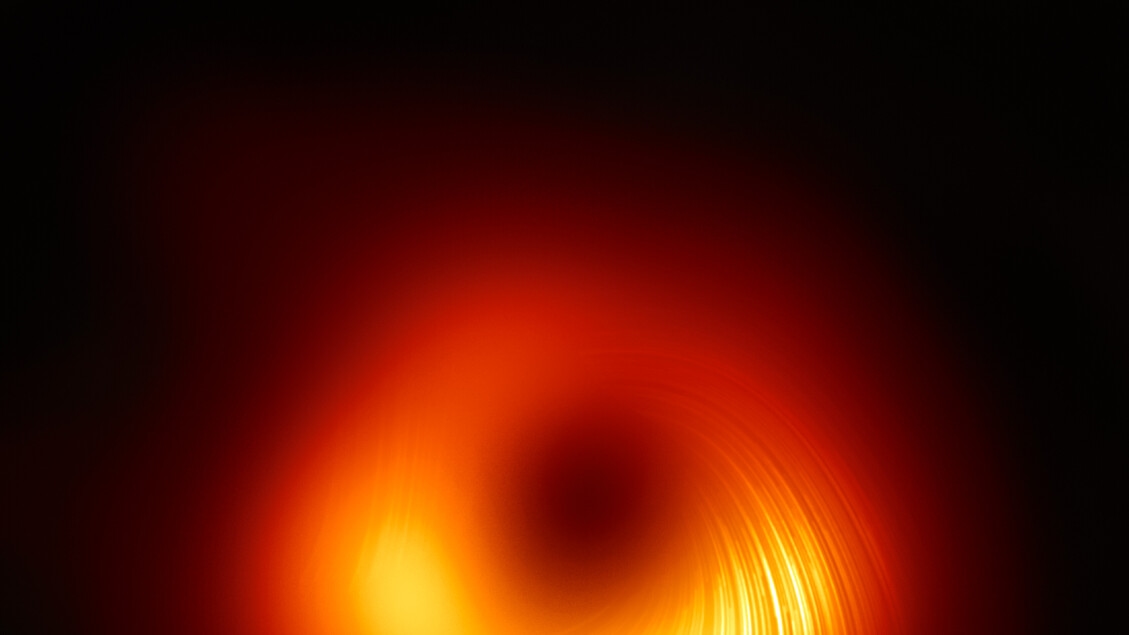 Magnetic fields around the black hole M87* have flipped