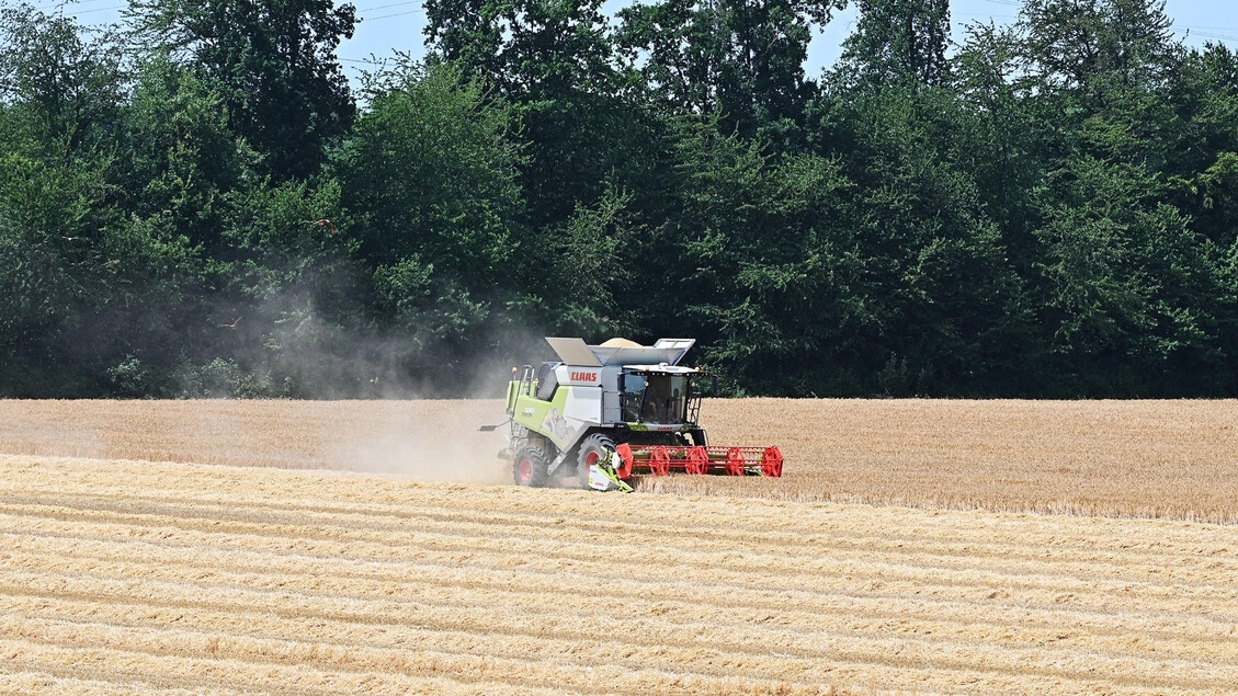 ISMEA: Valor agregado agrícola cresce 1,4% no trimestre