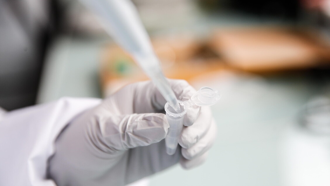 Carcinoma rinofaringeo, Ue approva anticorpo associato a chemio