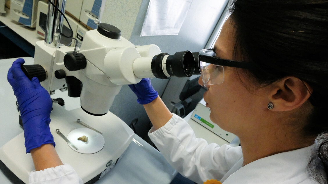 AIFA approves new targeted therapy for metastatic breast cancer