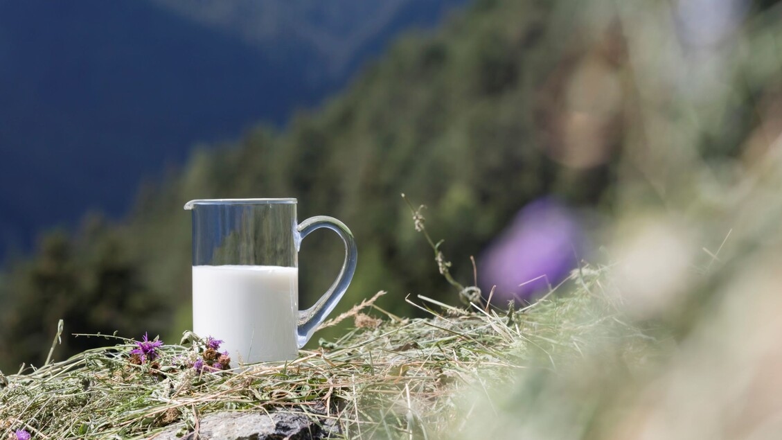 I rischi da latte crudo aumentano in estate, nuove Linee Guida
