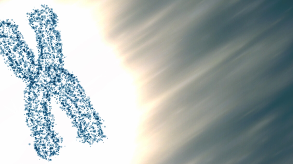 A natural molecule against Down syndrome deficits