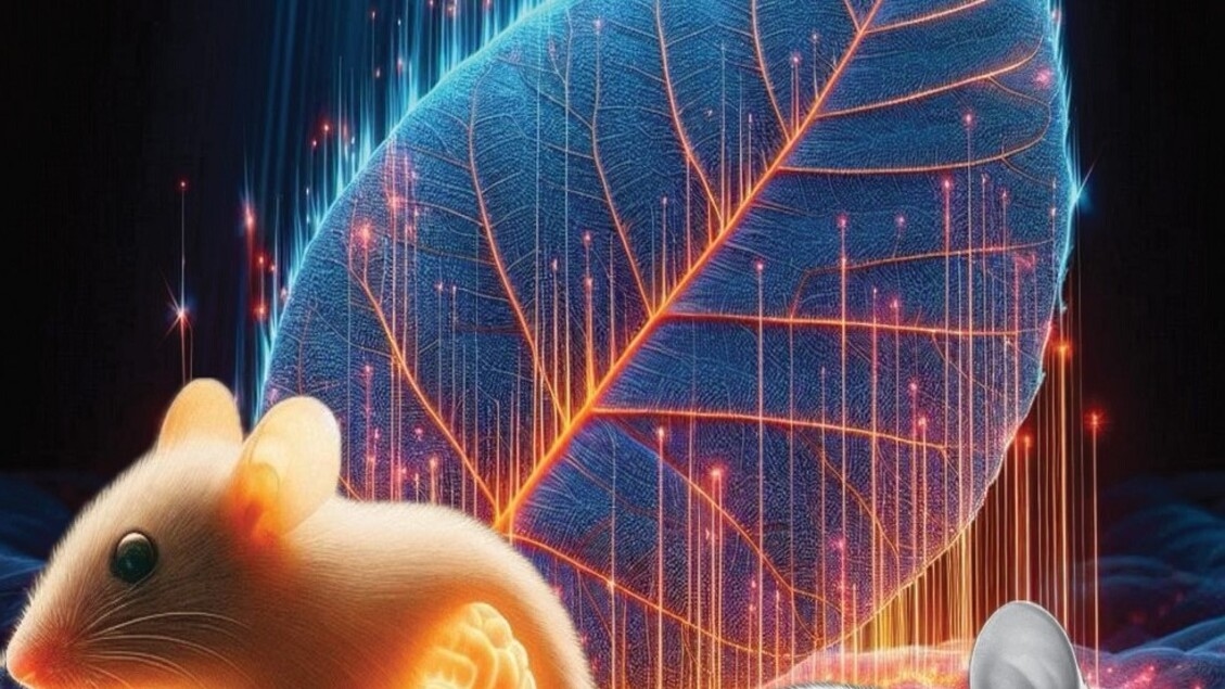I viventi emettono una debole luce che svanisce con la morte