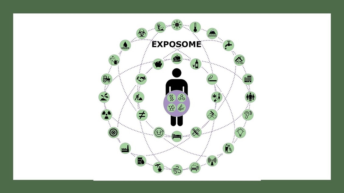 Dopo il progetto Genoma Umano arriva quello sull'Esposoma