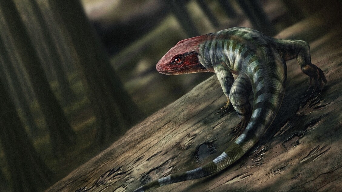 Ältester Reptilienfußabdruck schreibt die Evolution neu