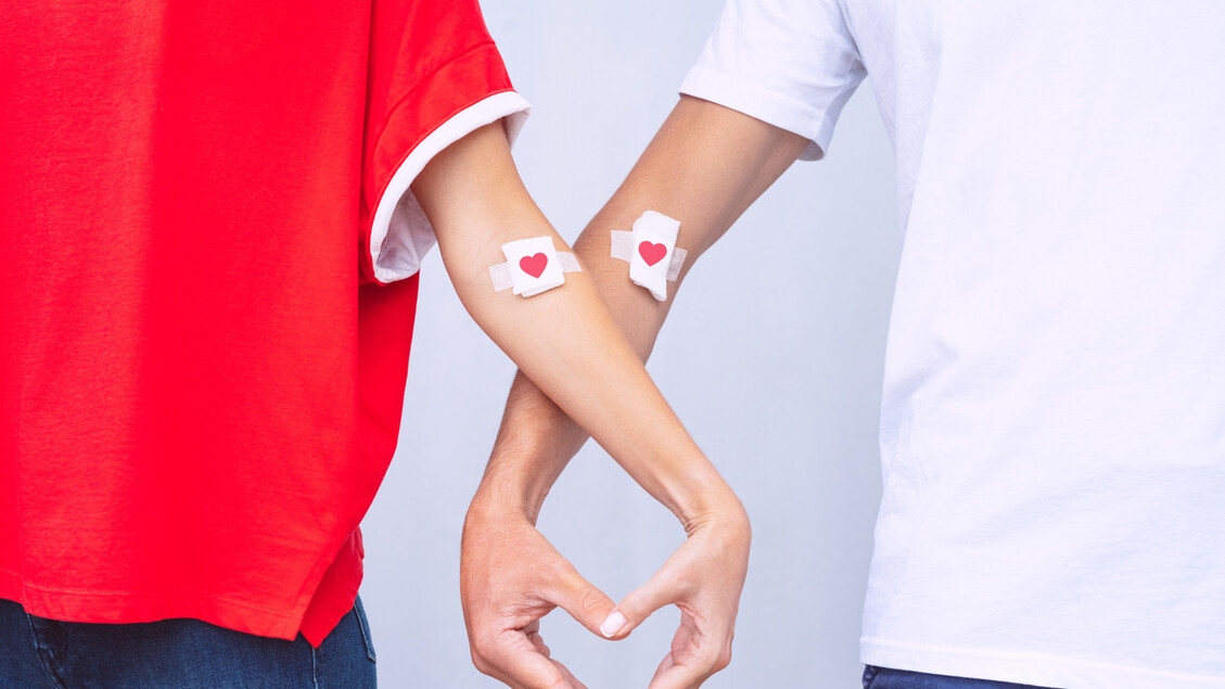 Junge Menschen spenden wieder Blut, Transfusionsautonomie gewährleistet