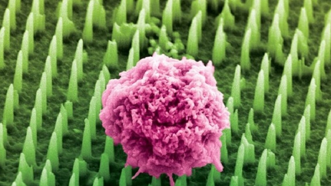 Pflaster mit zig Millionen Nanonadeln als Ersatz für Biopsien