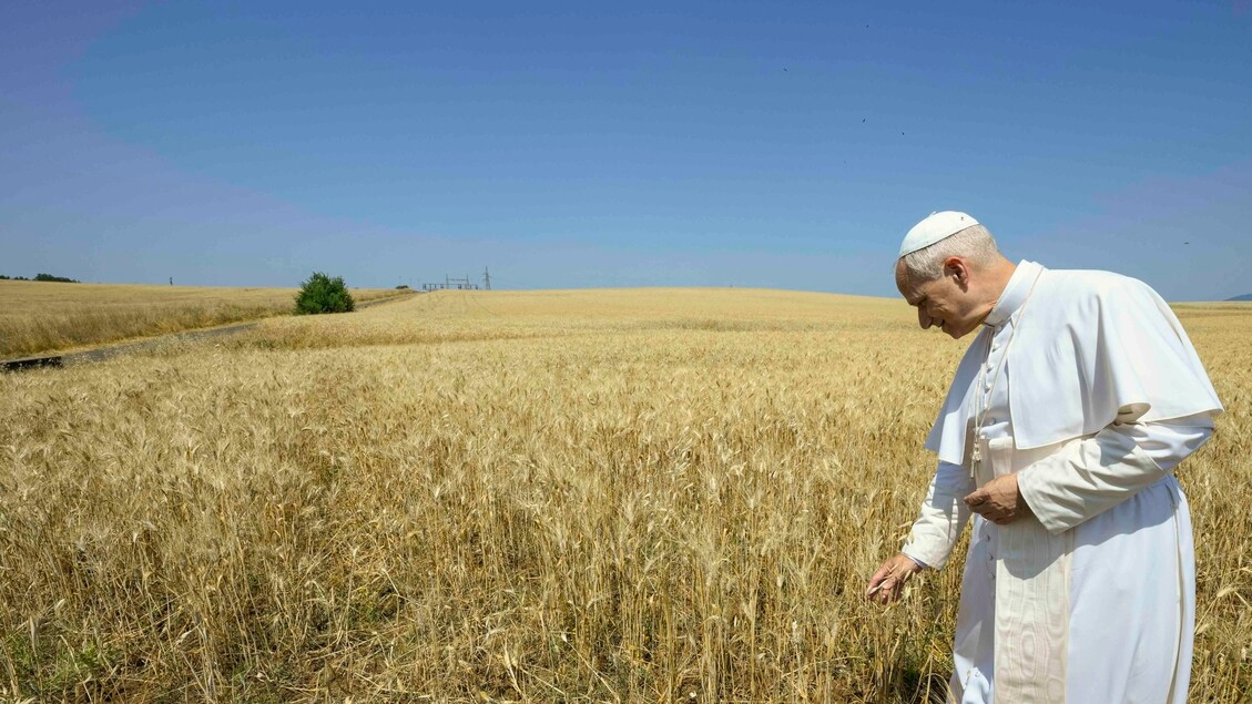 Papst: Lasst uns gemeinsam Lösungen für den Krieg finden