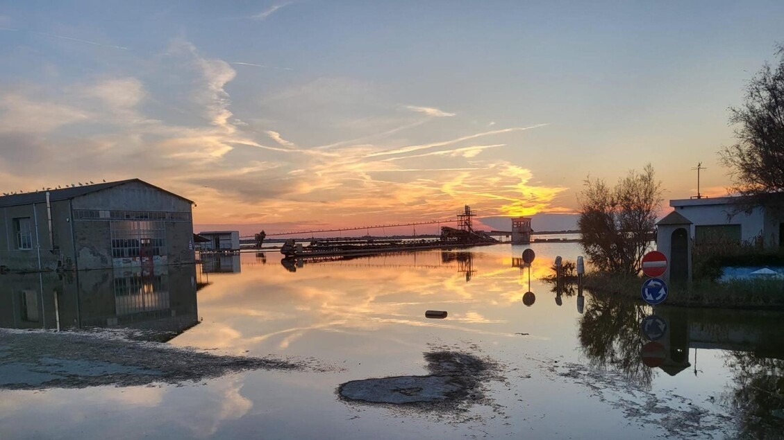 Romagna selvagem, do javali de Deledda aos flamingos