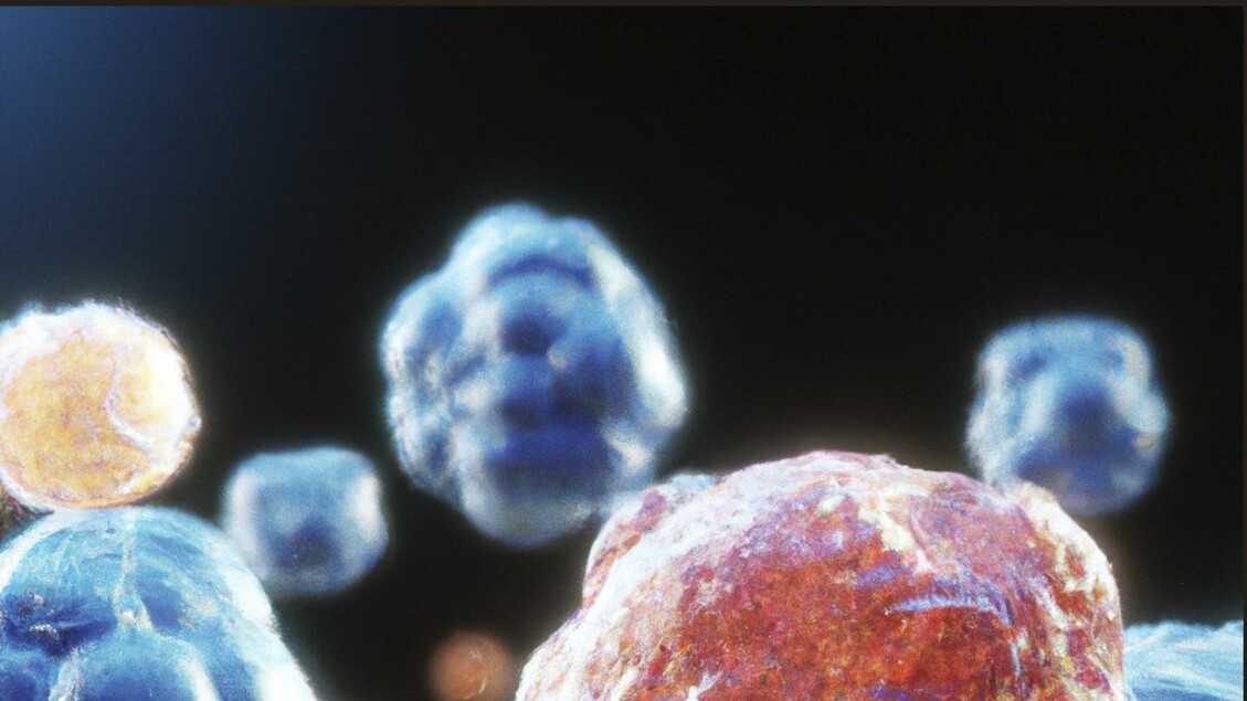 Il tumore del colon-retto reso visibile al sistema immunitario