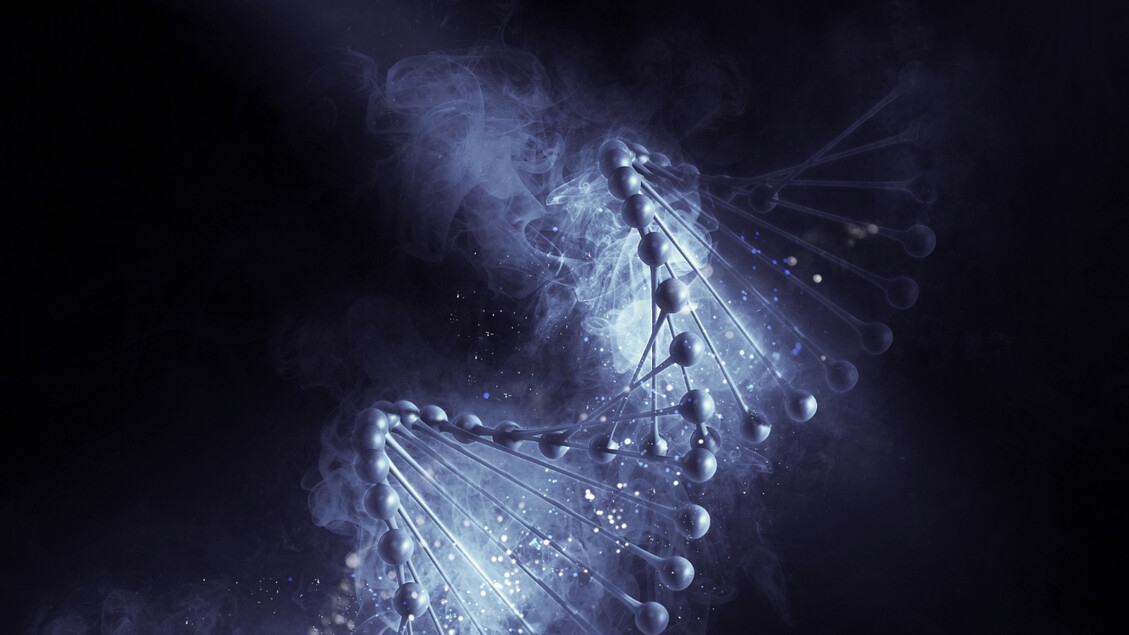 Dopo le proteine, la IA di Google legge la materia oscura del Dna