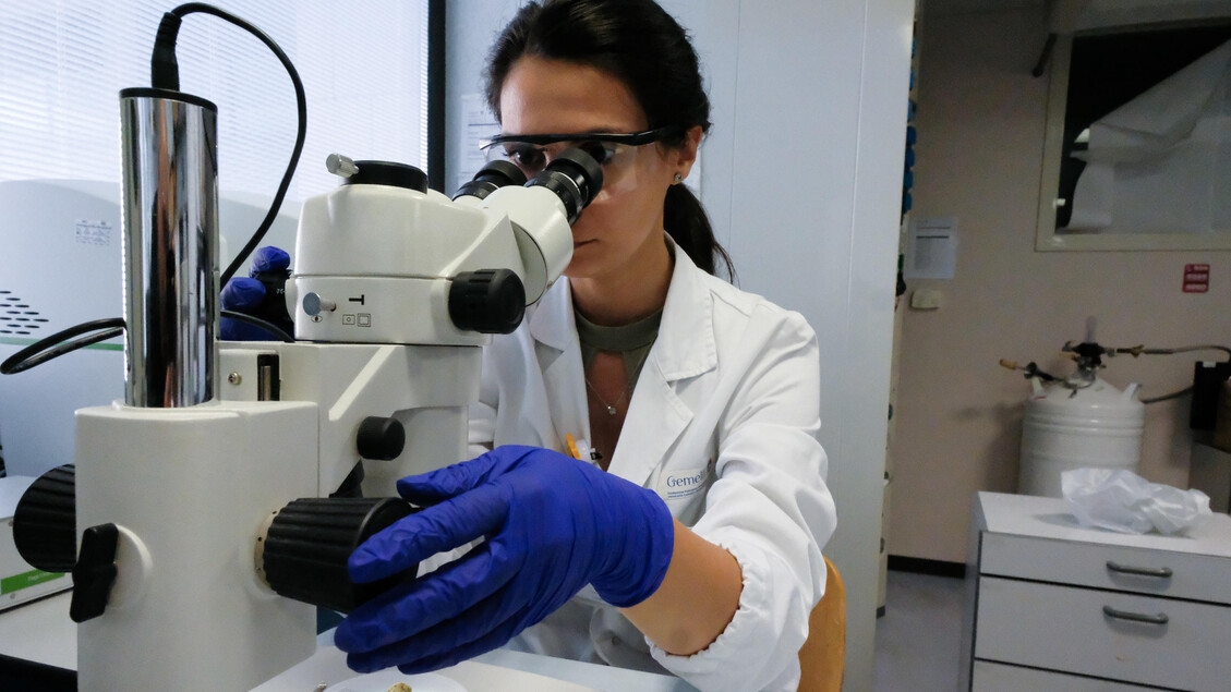 Cáncer de pulmón y de mama: la supervivencia aumenta con nuevos fármacos
