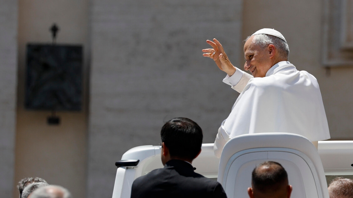 Pope, peace returns if we no longer move like predators