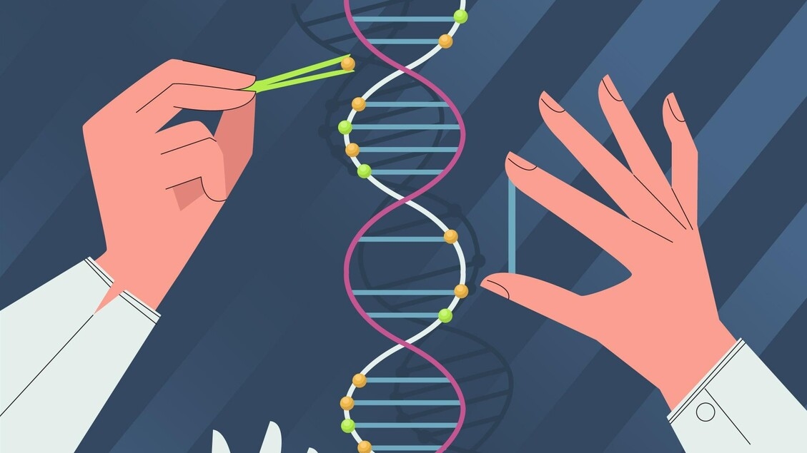 Dall'editing genetico la prima terapia permanente per perdere peso