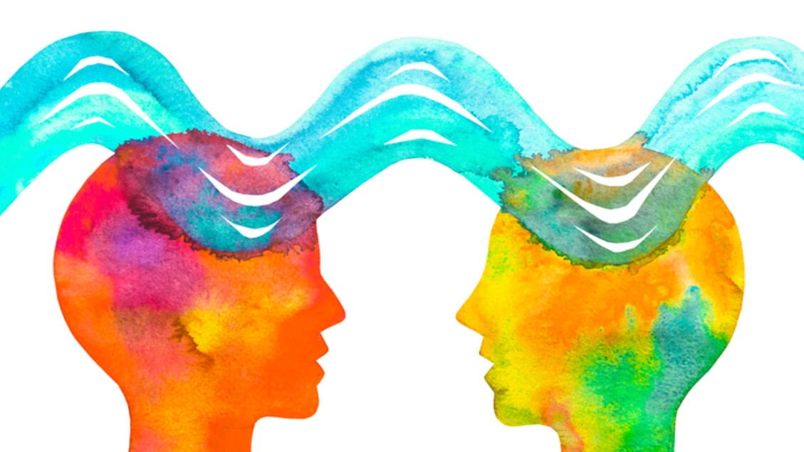 Entre amigos, los cerebros están conectados, la actividad neuronal es sincrónica.