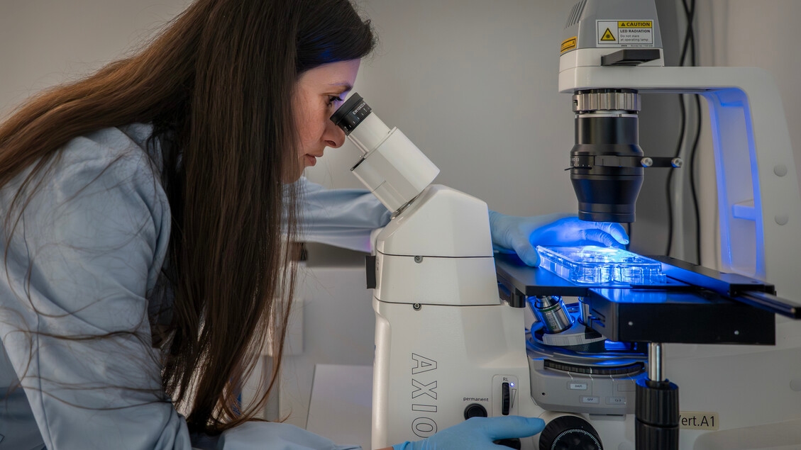 Bolzano'da organoidlerin koruyucu hekimlik amaçlı kullanımı üzerine araştırmalar sürüyor.
