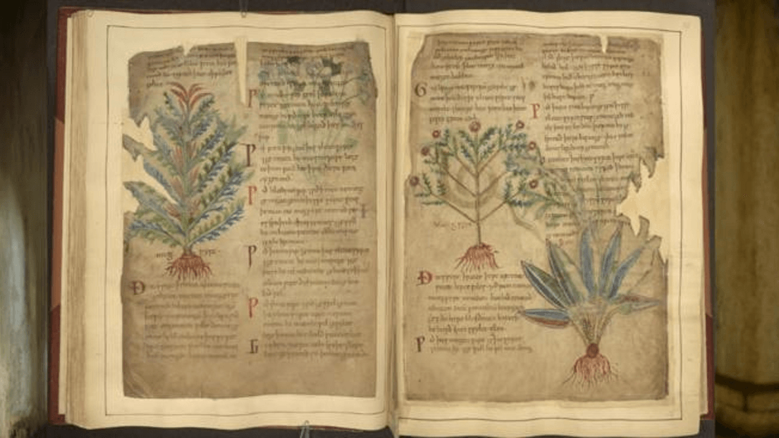 Na medicina medieval, tendências semelhantes às do TikTok