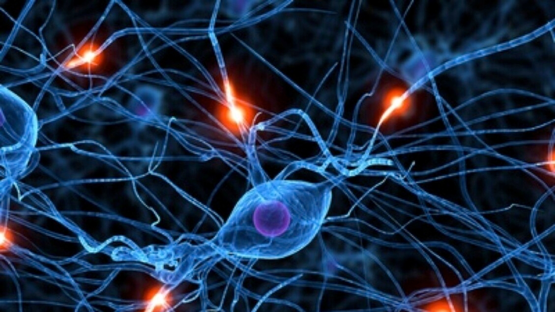 Scoperte le spie molecolari di Alzheimer e Parkinson
