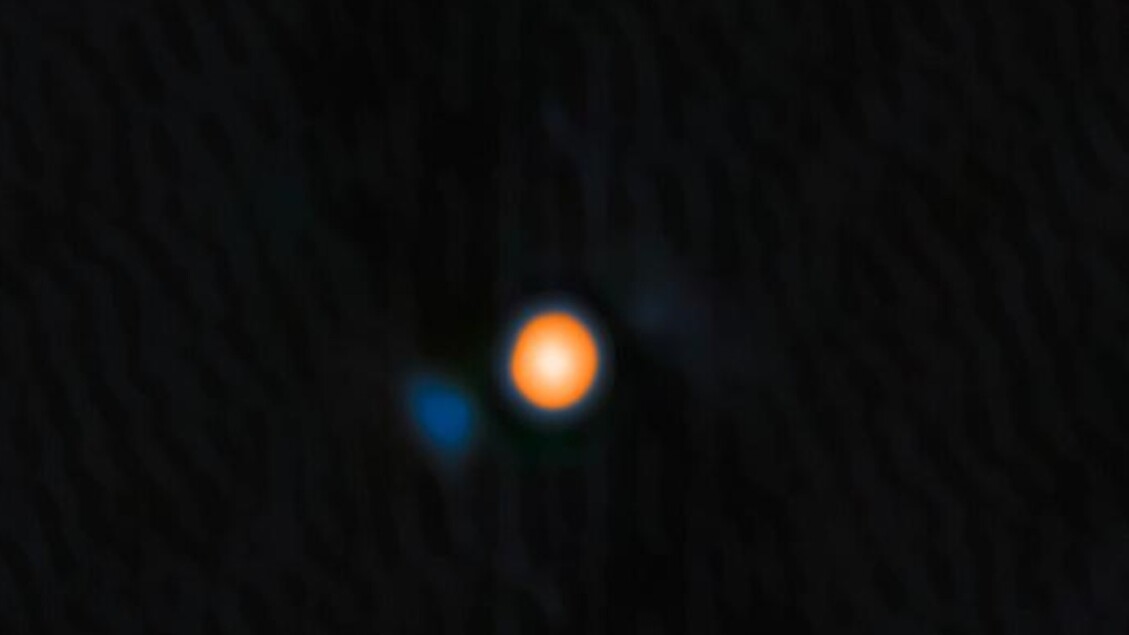 Una pequeña estrella descubierta alrededor del gigante Betelgeuse.