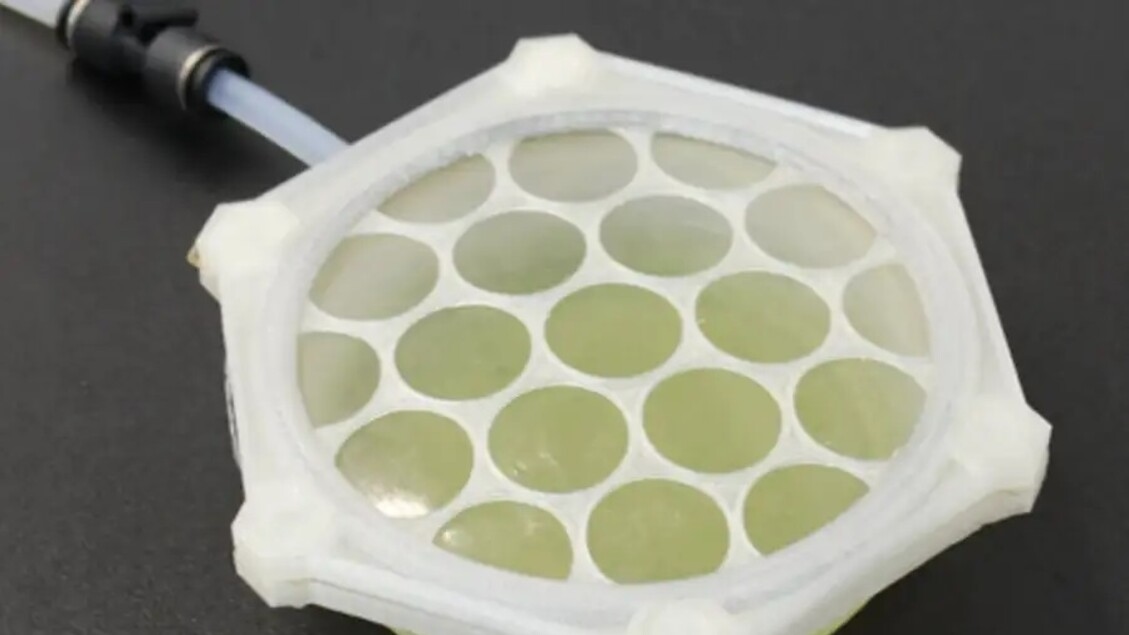 Bioplastiche ottenute dalle alghe per habitat extraterrestri