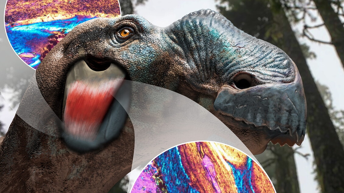 Les dinosaures avaient des joues, indices sur les os du crâne