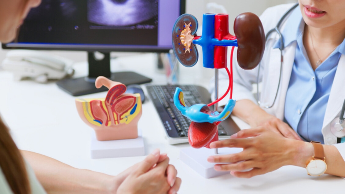 Câncer de bexiga: um adesivo medicamentoso interno muda a abordagem do tratamento.