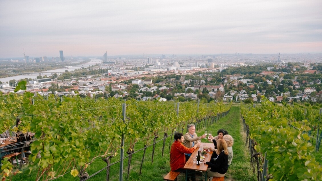 A Vienna autunno tra le vigne