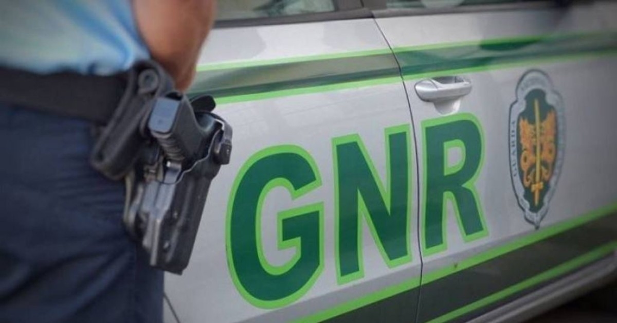 Hükümet GNR'ye 157, PSP'ye ise 51 araç teslim etti