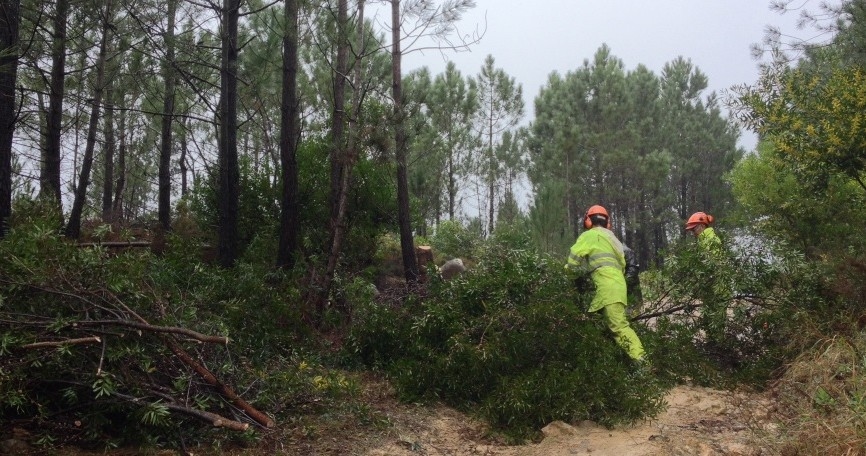 Incendi: oggi scade il termine per la bonifica del territorio e lunedì inizia l'ispezione da parte del GNR
