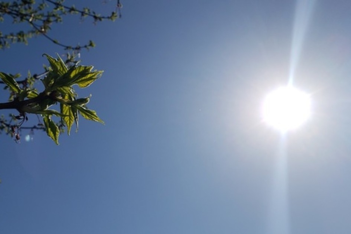 Five districts on red alert between Monday and Tuesday due to heat