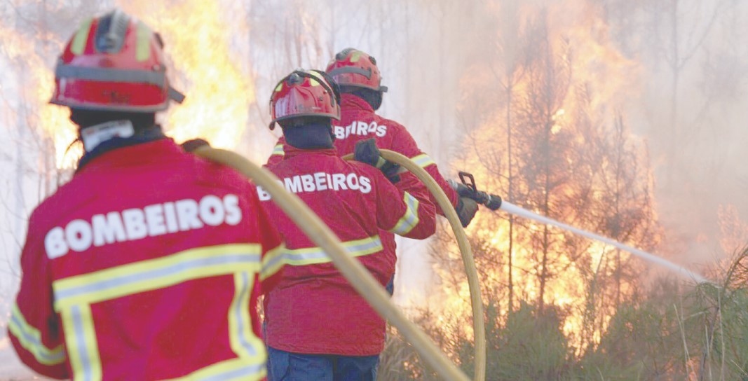 Ocho vehículos aéreos combaten las llamas en Penacova