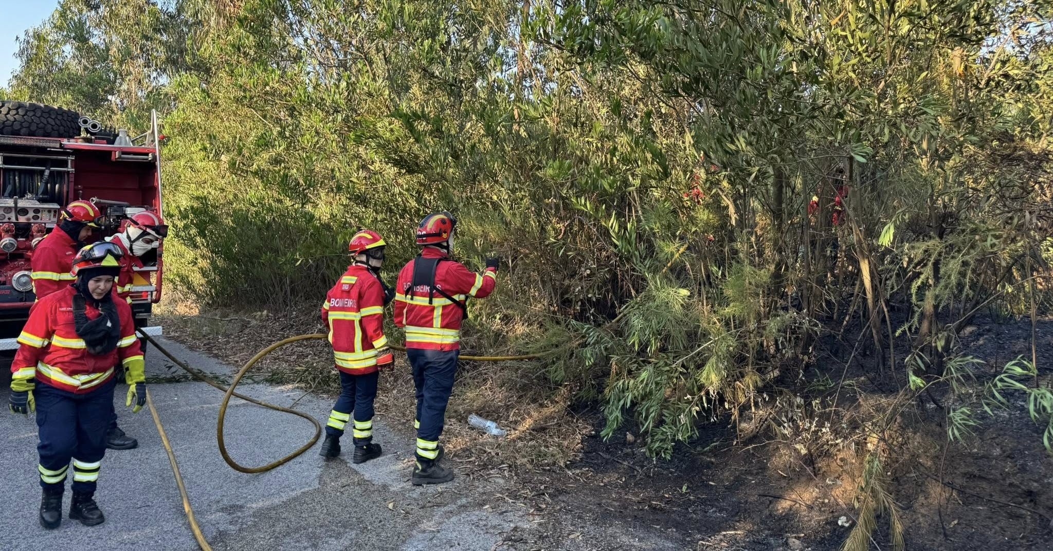 PJ detém suspeito de atear quatro fogos em Mira