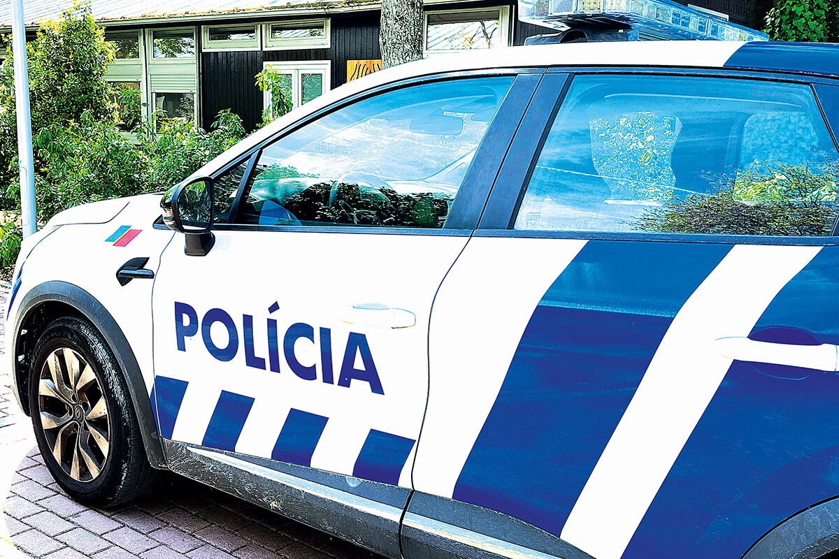 PSP arrests two men for theft