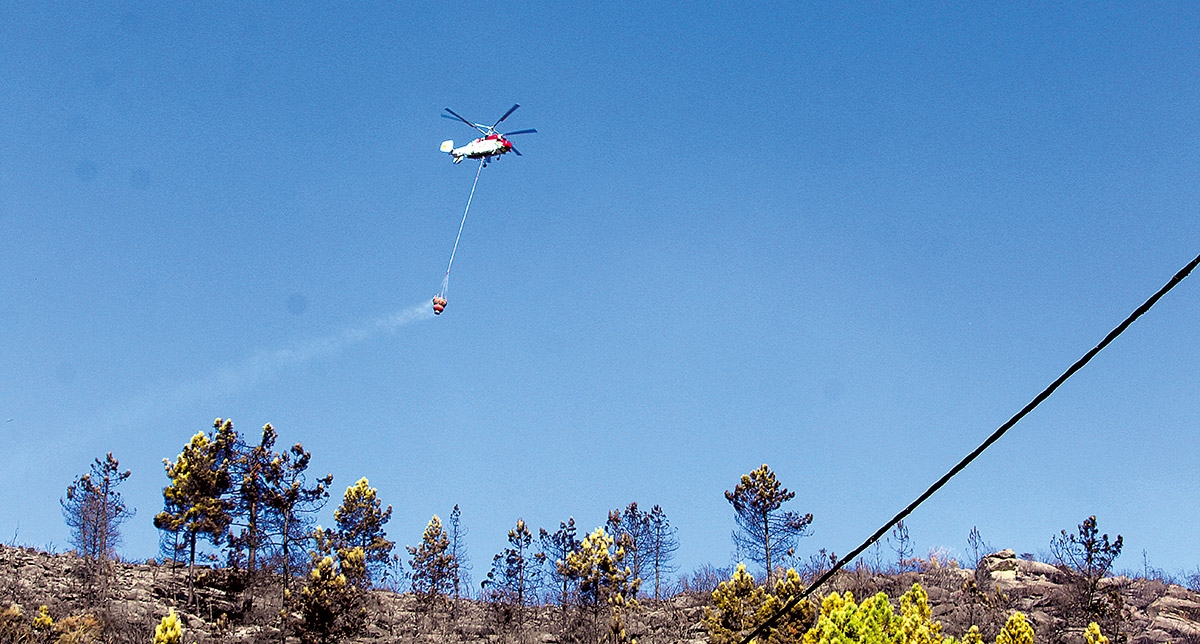 Aumento de áreas protegidas agravou risco de incêndios